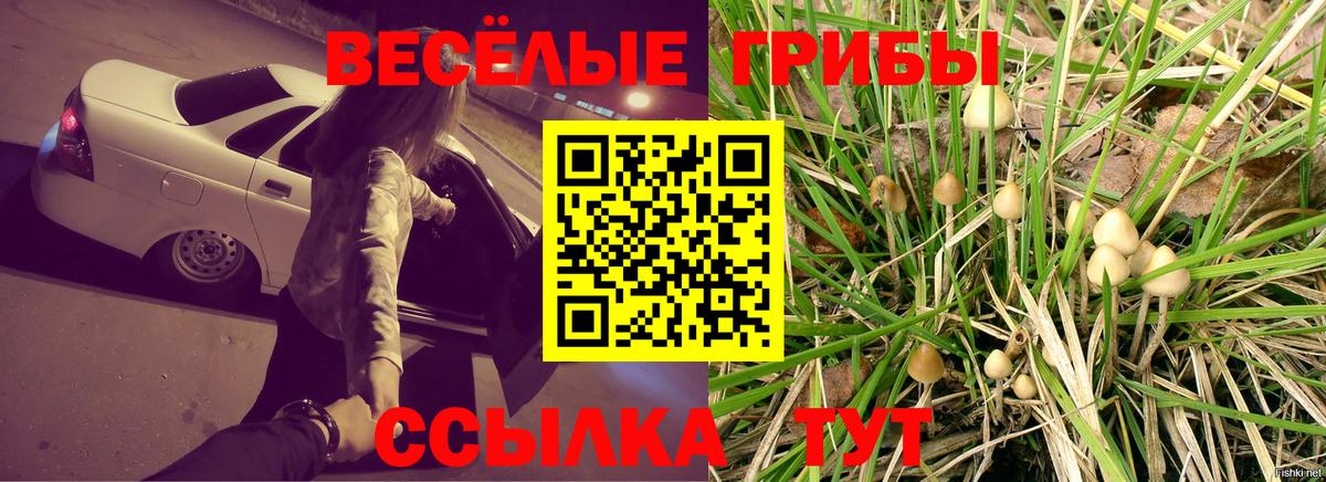 Галлюциногенные грибы MAGIC MUSHROOMS  Псилоцибиновые грибы мухоморы  Ростов-на-Дону  Вход с VPN 